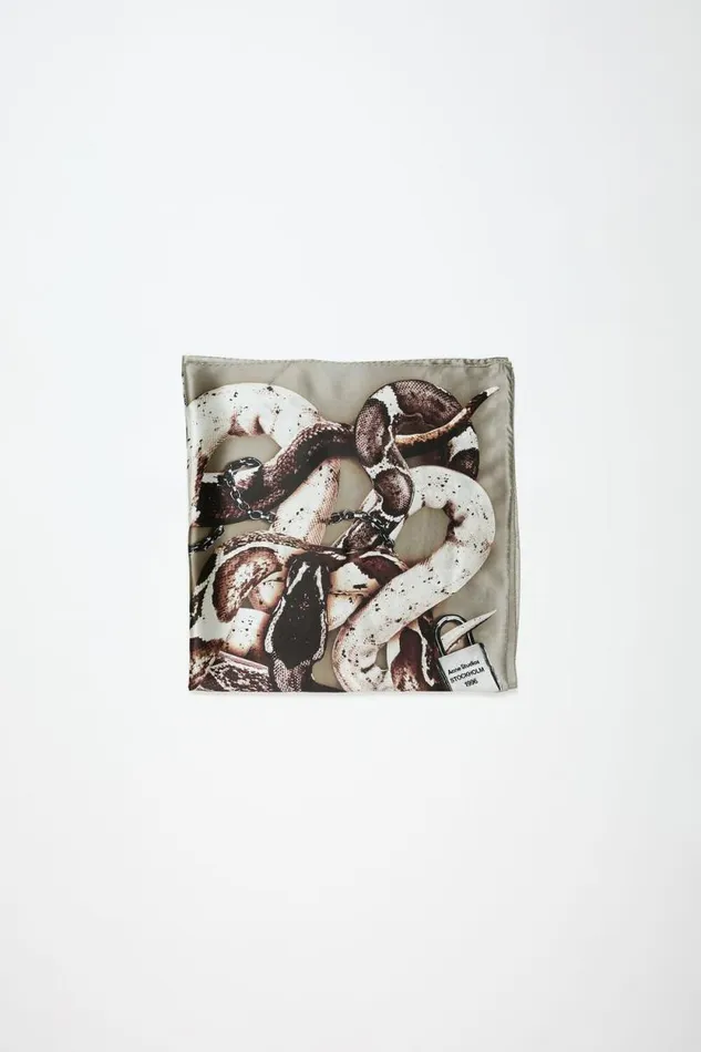 Acne Studios Printed Silk Scarf Beige Man Scarves