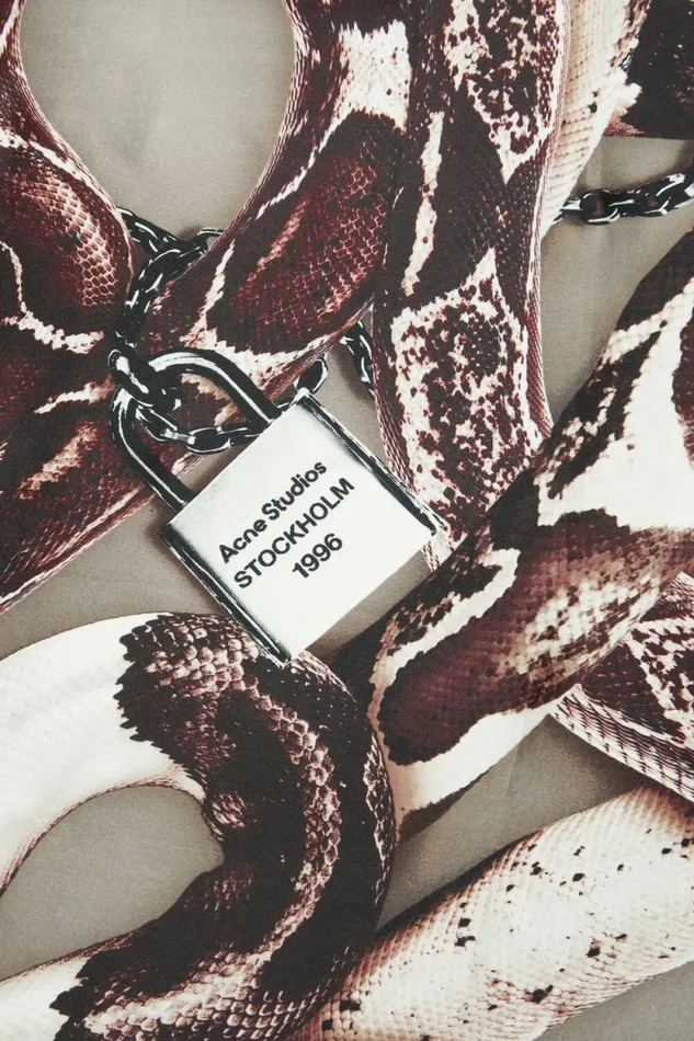 Acne Studios Printed Silk Scarf Beige Man Scarves