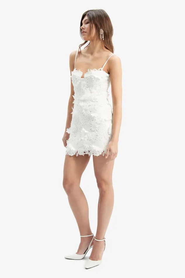 Bardot Party Dresses Brias Lace Mini Dress In Orchid White 8211 Women Bardot Party Dresses Brias Lace Mini Dress In Orchid White 8211 Women
