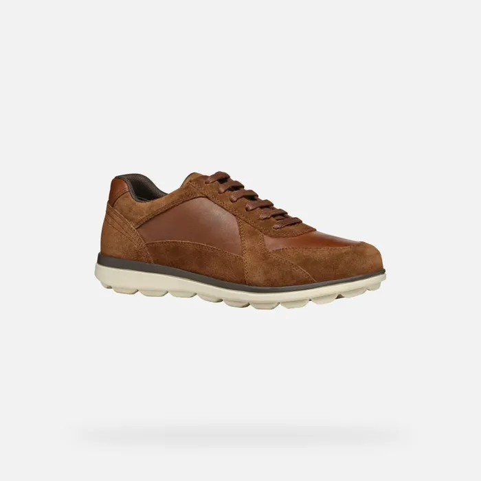 Geox Casual Shoes SPHERICA EC12 MAN Brown Cotto Low Top Sneakers Brown Cotto 8211 Man