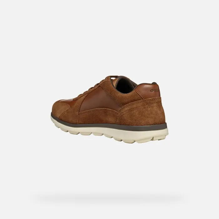 Geox Casual Shoes SPHERICA EC12 MAN Brown Cotto Low Top Sneakers Brown Cotto 8211 Man