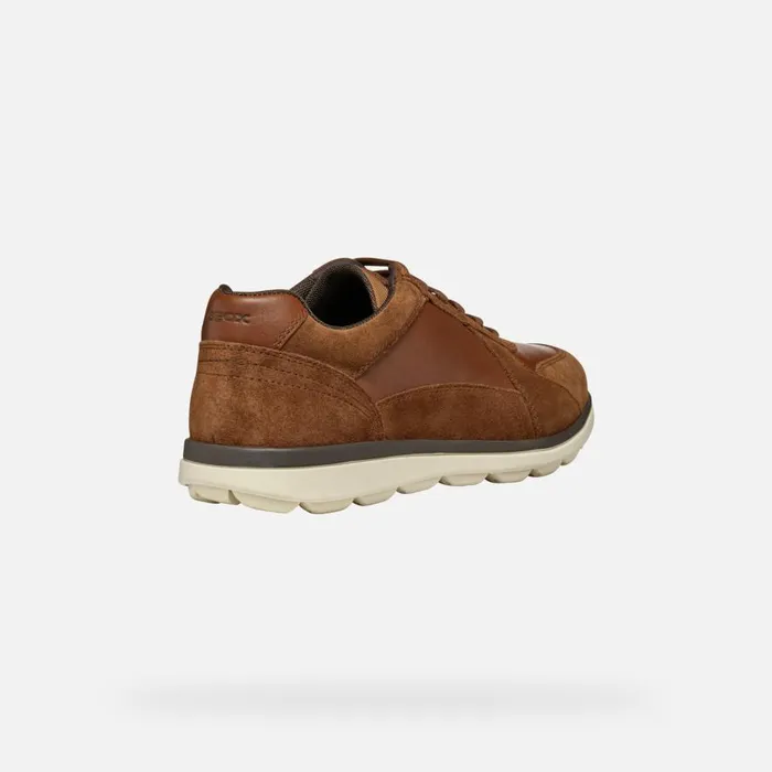 Geox Casual Shoes SPHERICA EC12 MAN Brown Cotto Low Top Sneakers Brown Cotto 8211 Man