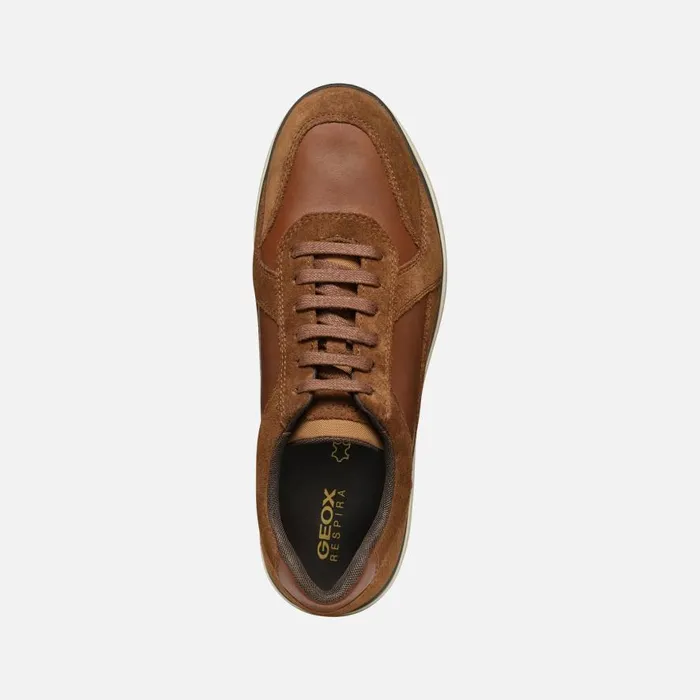 Geox Casual Shoes SPHERICA EC12 MAN Brown Cotto Low Top Sneakers Brown Cotto 8211 Man