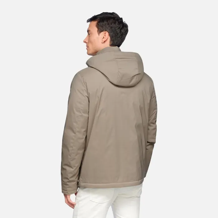 Geox Down Jackets AURELIO MAN Fallen Rock Short Down Jacket Fallen Rock 8211 Man