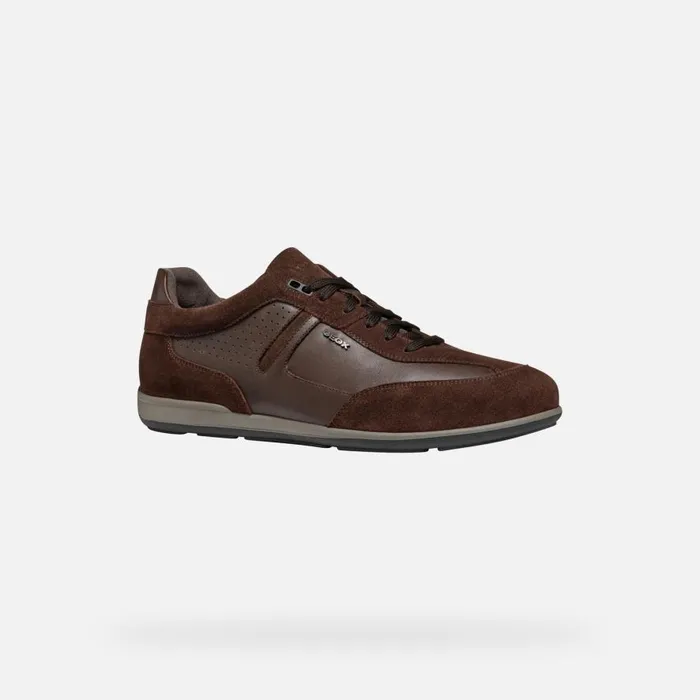 Geox Sneakers IONIO MAN Dark Coffee Low Top Sneakers Dark Coffee 8211 Man