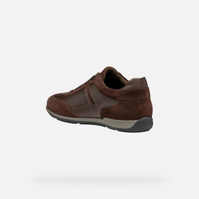 Geox Sneakers IONIO MAN Dark Coffee Low Top Sneakers Dark Coffee 8211 Man