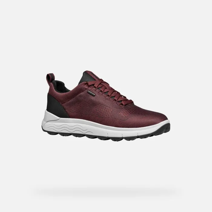 Geox Sneakers SPHERICA 4X4 ABX MAN WineNavy Waterproof Trainers Winenavy 8211 Man
