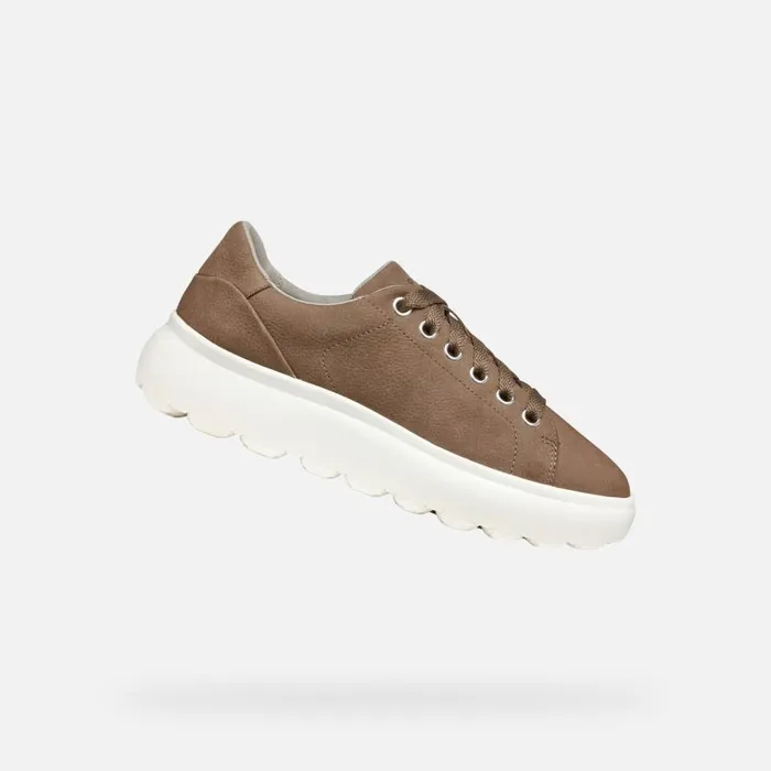 Geox Sneakers SPHERICA EC41 WOMAN Dark Taupe Low Top Sneakers Dark Taupe 8211 Woman Geox Sneakers SPHERICA EC41 WOMAN Dark Taupe Low Top Sneakers Dark Taupe 8211 Woman
