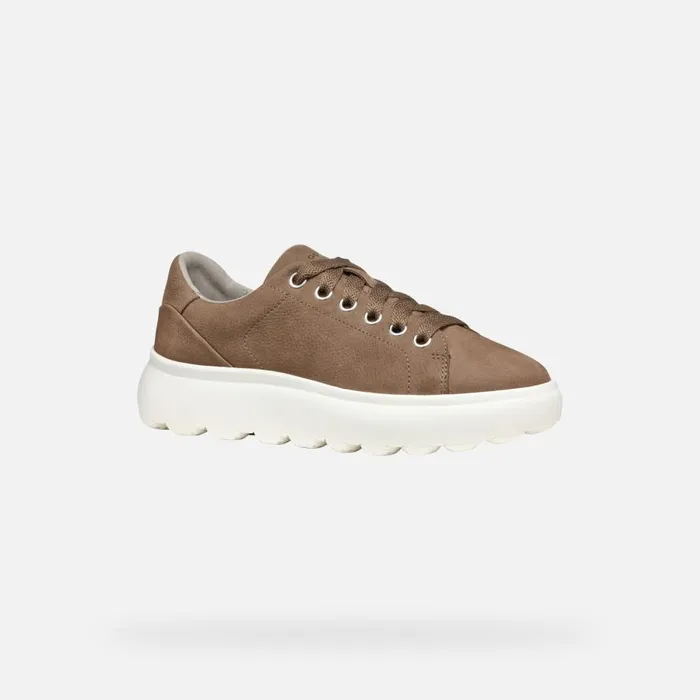 Geox Sneakers SPHERICA EC41 WOMAN Dark Taupe Low Top Sneakers Dark Taupe 8211 Woman
