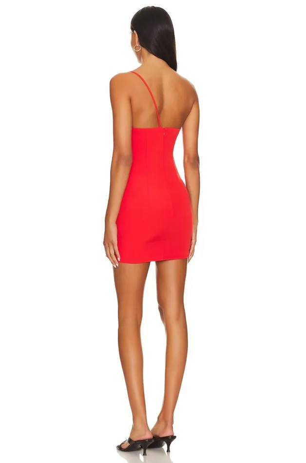 Keely Mini Dress Red Women Lovers and Friends Dresses