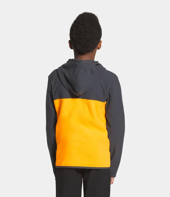 Kids Glacier Full Zip Hoodie Summit Gold The North Face Jackets and Vests