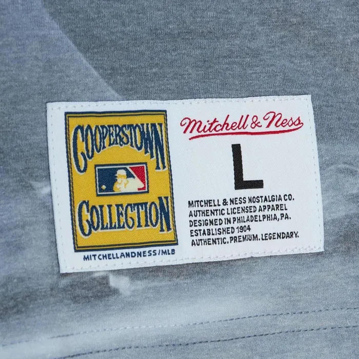 Men039s MLB Mitchell and Ness Highlight Sublimated Player Tee Cincinnati Reds Pete Rose Men039s MLB Mitchell and Ness Highlight Sublimated Player Tee Cincinnati Reds Pete Rose