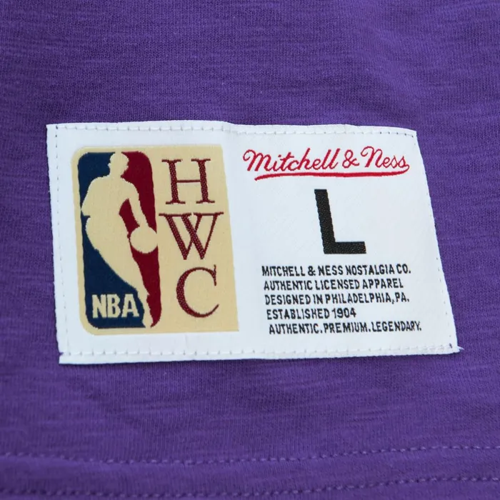 Men039s TShirts and Tops Mitchell and Ness Legendary Slub SS Tee Toronto Raptors Men039s TShirts and Tops Mitchell and Ness Legendary Slub SS Tee Toronto Raptors