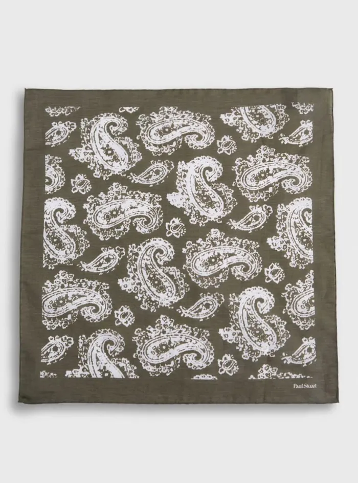 Men Paul Stuart Pocket Squares Tossed Paisley Print Pocket Square Olive