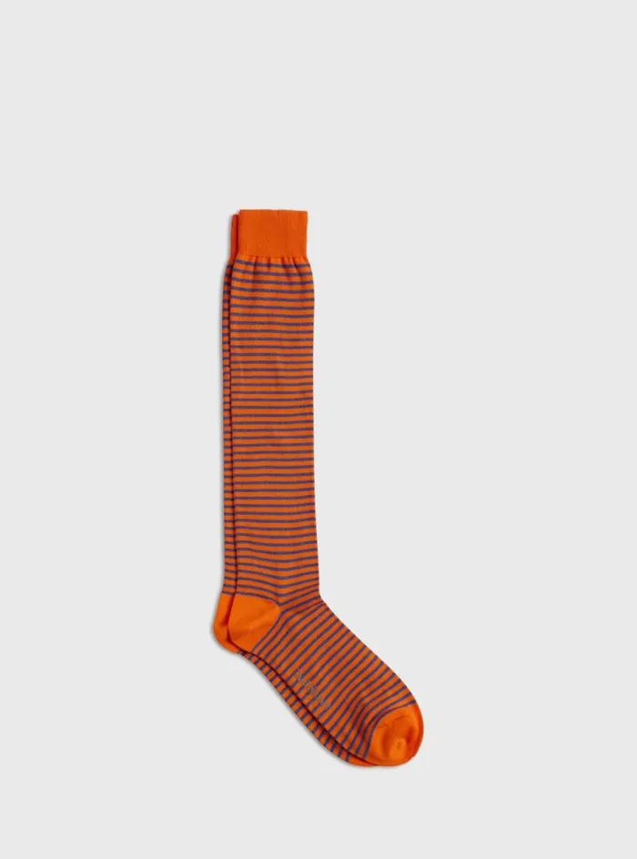 Men Paul Stuart Socks Horizontal Stripe Sock Orange