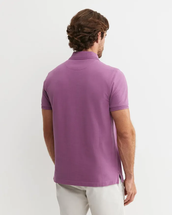 Men Sportscraft TShirts and Polos Sc Pique Polo Fig