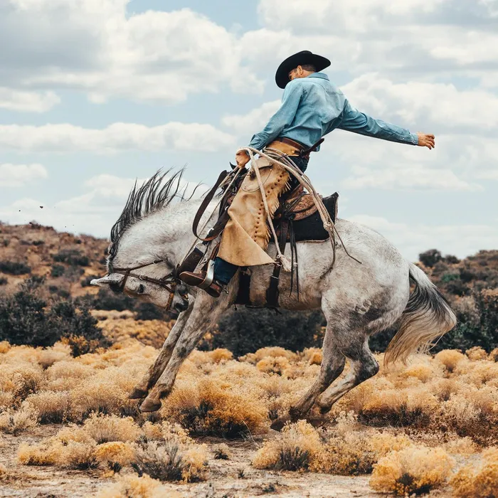 Modern Cut Men Stetson LongSleeved Denim Shirt Blue