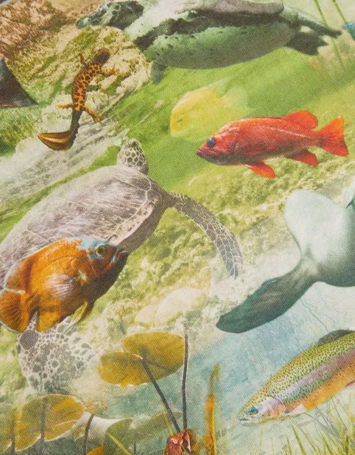Monsoon Pond Life TShirt Multi Children Tops and Tshirts Monsoon Pond Life TShirt Multi Children Tops and Tshirts