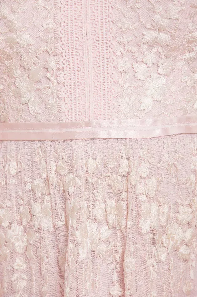 Needle and Thread Araminta Lace Gown Pink Women Embroidered Dresses