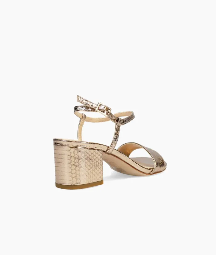 Pelle Moda Alicia Low Heel 8211 Bronze Bronze Embossed Snake Women Low Heels Pelle Moda Alicia Low Heel 8211 Bronze Bronze Embossed Snake Women Low Heels