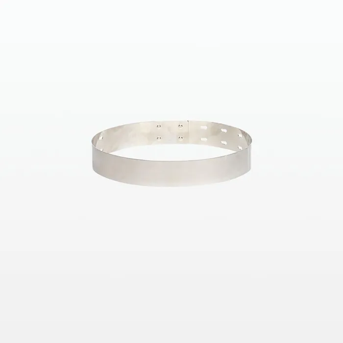 Safiyaa Ilaria Metal Waist Belt In Silver Women Accessories
