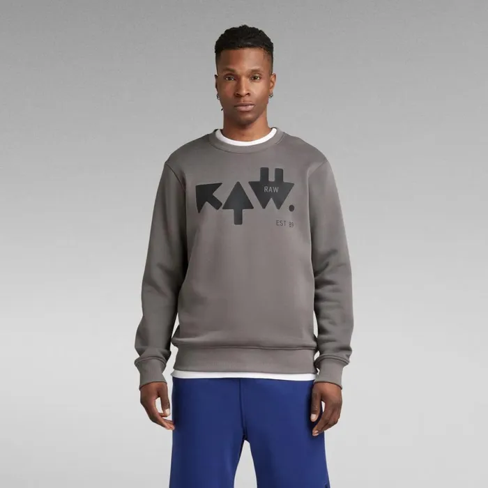 Sweatshirts and Hoodies Men GStar RAW RAW Arrow Sweater Granite