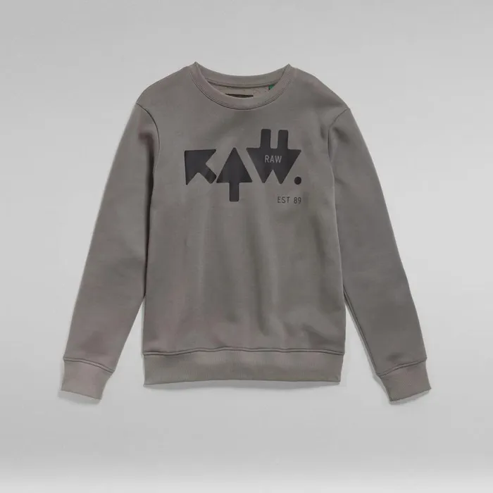 Sweatshirts and Hoodies Men GStar RAW RAW Arrow Sweater Granite