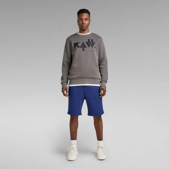 Sweatshirts and Hoodies Men GStar RAW RAW Arrow Sweater Granite