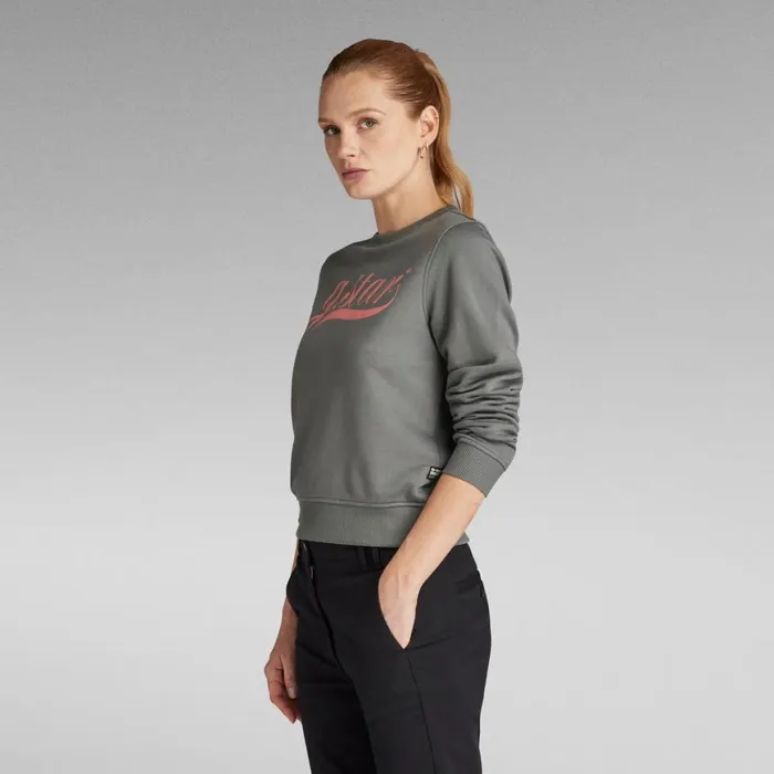 Sweatshirts and Hoodies Women GStar RAW Graphic 1 Sweater Gs Grey