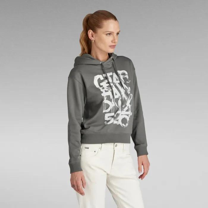 Sweatshirts and Hoodies Women GStar RAW Graphic 3 Hooded Sweater Gs Grey