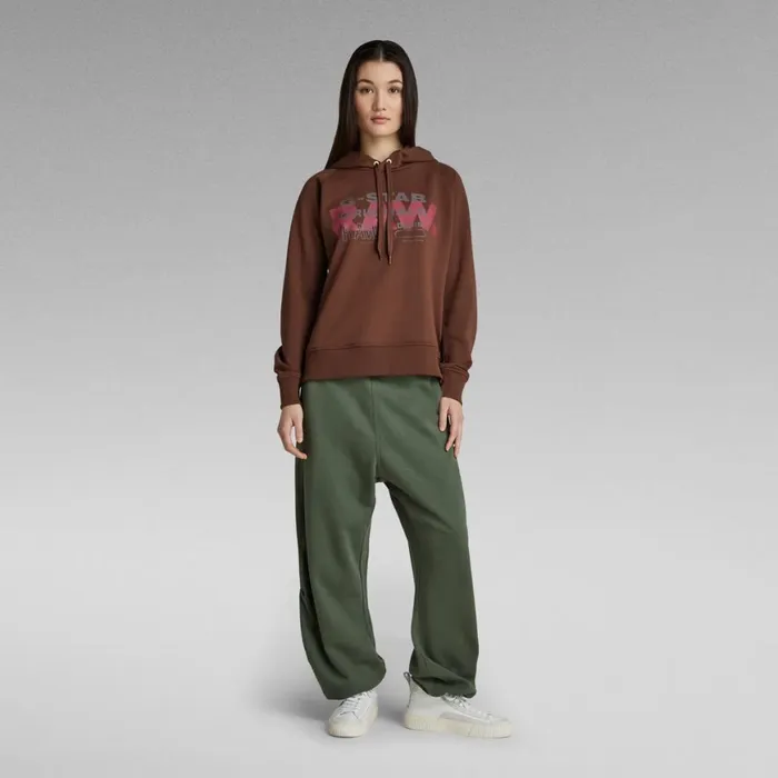 Sweatshirts and Hoodies Women GStar RAW Raglan Raw Originals Hooded Sweater Chocolate Lab