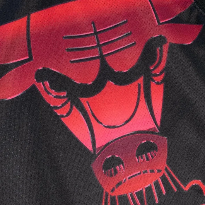 Women039s TShirts and Tops Mitchell and Ness Womens Big Face 40 Crop Tank Chicago Bulls Women039s TShirts and Tops Mitchell and Ness Womens Big Face 40 Crop Tank Chicago Bulls