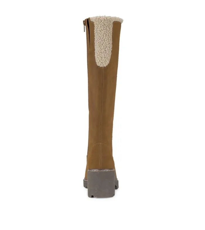 Women Baretraps Knee High Boots Dalary Tall Boot Nutshell Women Baretraps Knee High Boots Dalary Tall Boot Nutshell