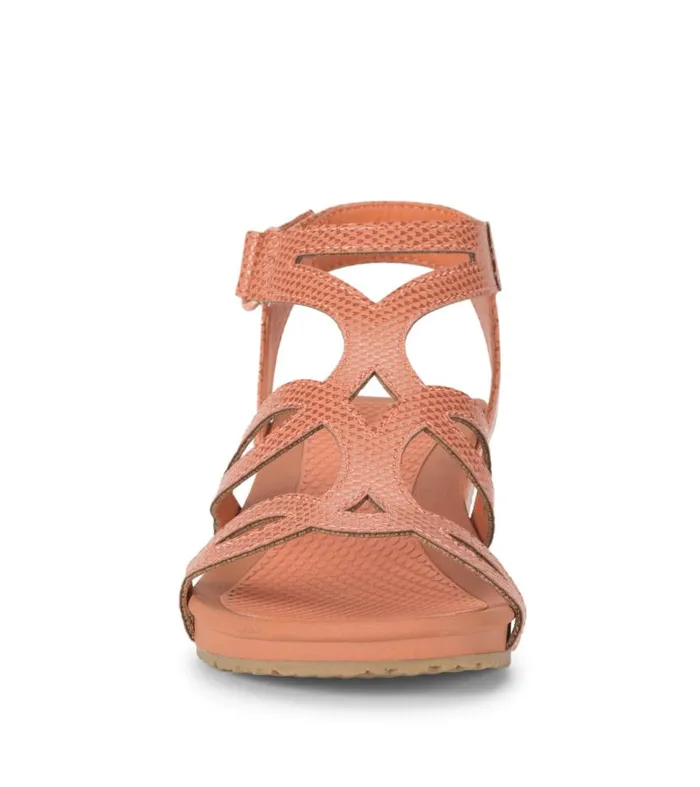 Women Baretraps Wedge Sandals Raeanne Wedge Sandal Ginger Women Baretraps Wedge Sandals Raeanne Wedge Sandal Ginger