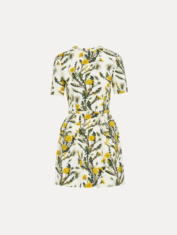 Women Dandelion Cotton Cloqu Dress Yellow Ivory Oscar De La Renta Dresses