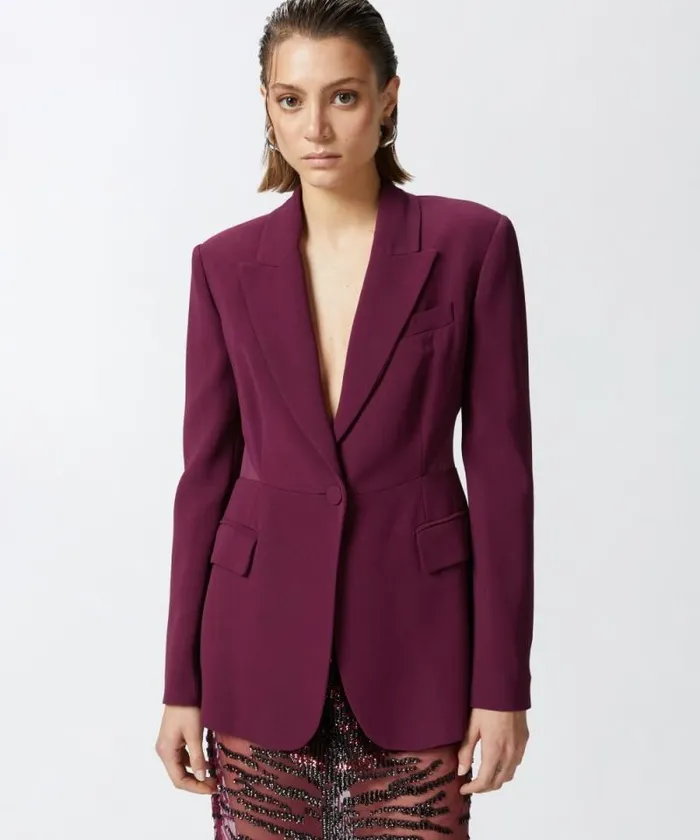 Women Jackets Pinko Blazer With Transparent Insert On The Back Grape Wine