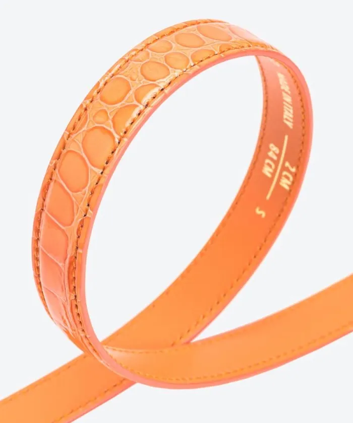 Women Limited Edition Pinko PINKO Galleria Thin 2cm Shiny Coloured Crocprint Belt With Love Birds Buckle Orangelightgold Women Limited Edition Pinko PINKO Galleria Thin 2cm Shiny Coloured Crocprint Belt With Love Birds Buckle Orangelightgold
