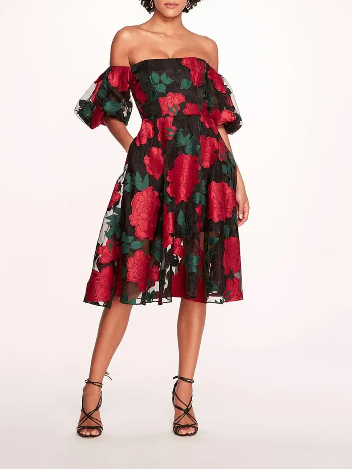 Women Marchesa Dresses Claude Midi Dress Black Multi