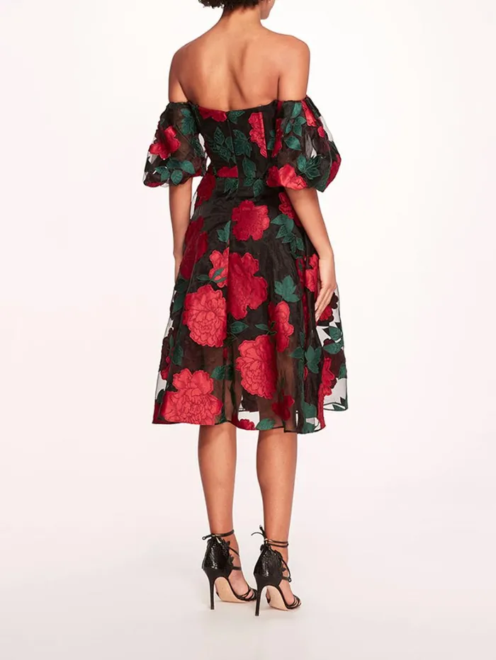 Women Marchesa Dresses Claude Midi Dress Black Multi Women Marchesa Dresses Claude Midi Dress Black Multi