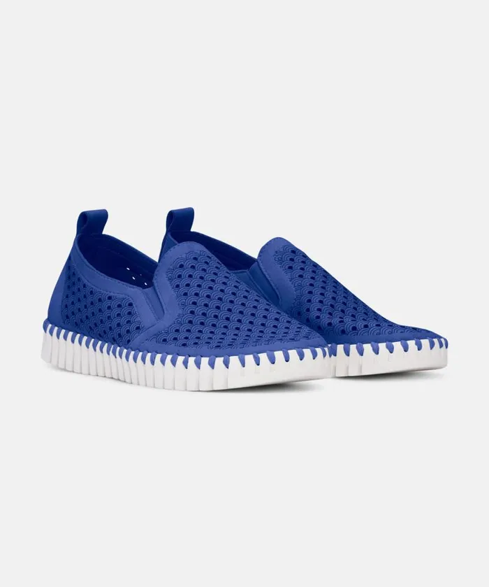 Women Tulip Flats Ilse Jacobsen Flats 8211 Blue Web